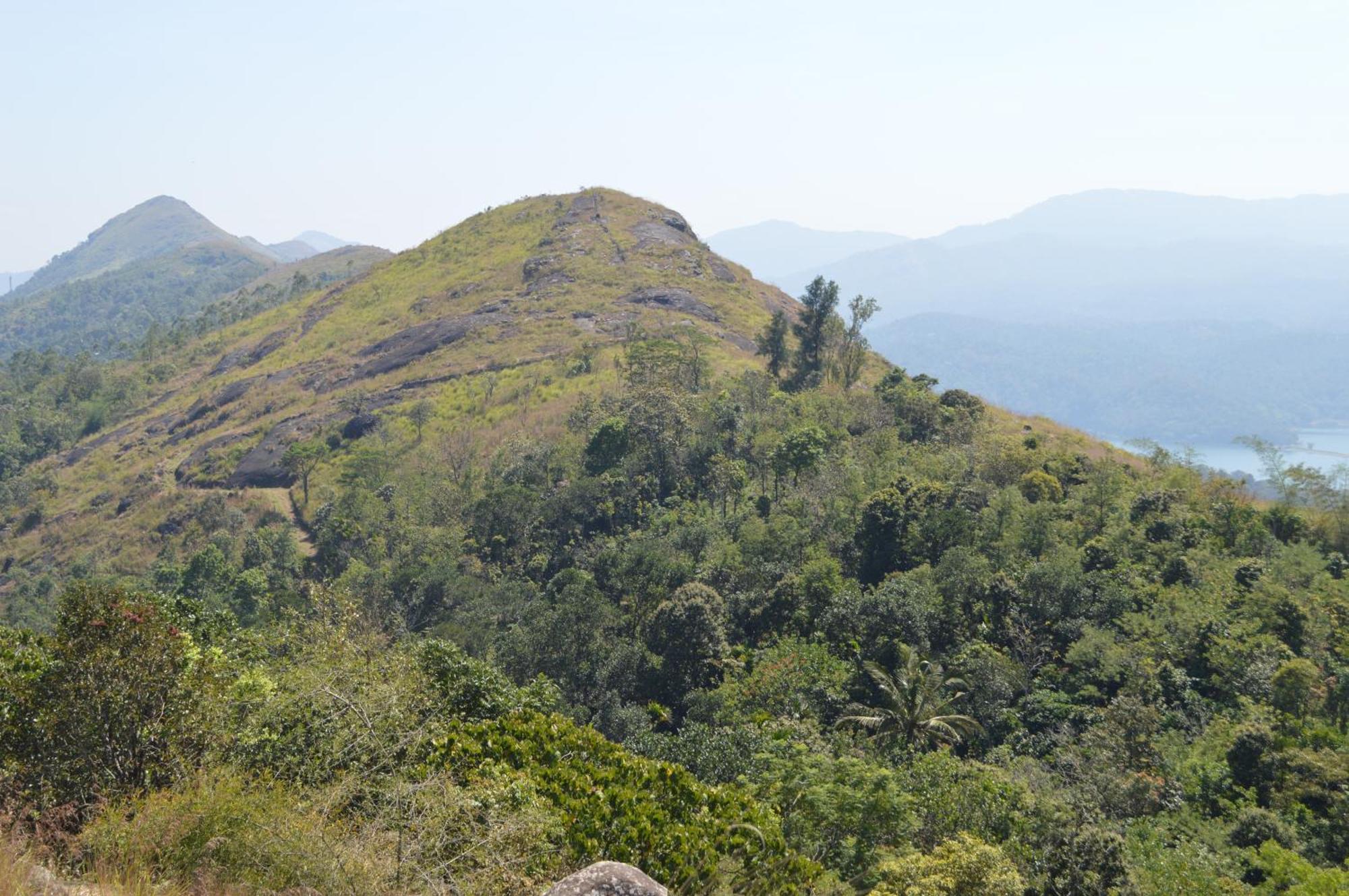Ashramam Health Resort Kattappana ภายนอก รูปภาพ